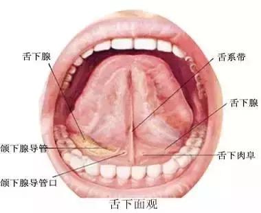 孩子割舌系带后说话不清楚怎么办,孩子说话不清楚要剪舌系带吗