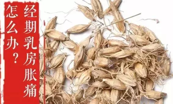 一号难求北京一位超厉害的医生,一号难求北京中医