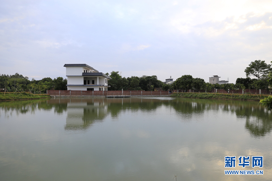 惠州绿色生态,惠州绿色生态基地