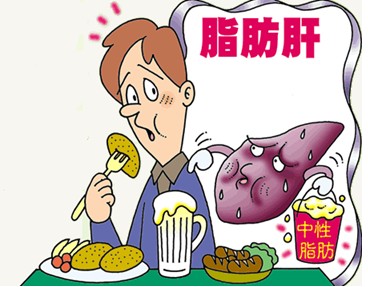 脂肪肝冬天喝什么茶好,脂肪肝应当怎样调理饮食
