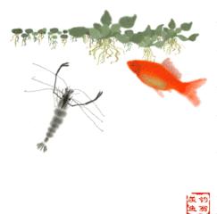 脂肪肝冬天喝什么茶好,脂肪肝应当怎样调理饮食