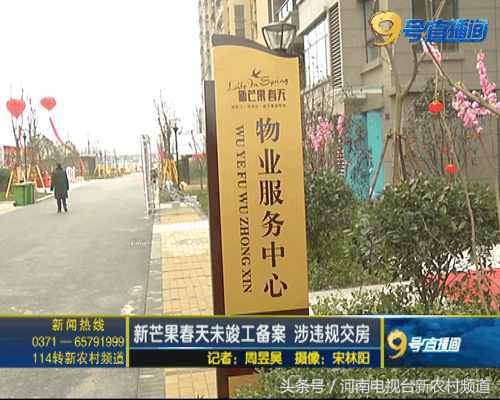 什么芒果是又脆又甜的,什么芒果又香又黄