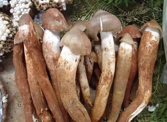 丽江美食攻略全集,丽江象山市场美食攻略