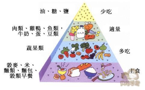儿童营养均衡饮食大全,营养均衡的饮食搭配