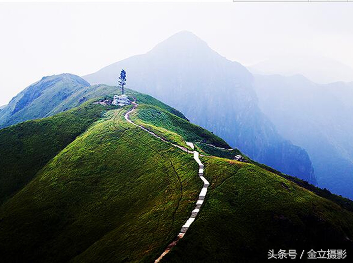 摄影照片怎么拍出氛围感,有意思的照片拍摄技巧