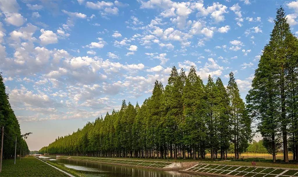 南京六合旅游景区有哪些,南京六合旅游好去处
