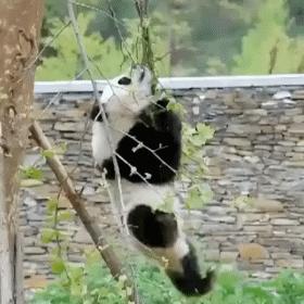 朋友人品不好如何和她绝交,遇到很损的朋友应当怎么办