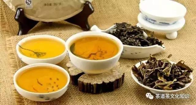 附近普洱茶茶友,普洱茶茶友交流圈