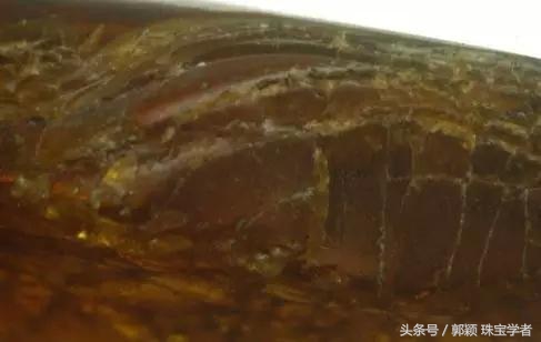 琥珀造假视频教程,各种琥珀仿制品的鉴别方法