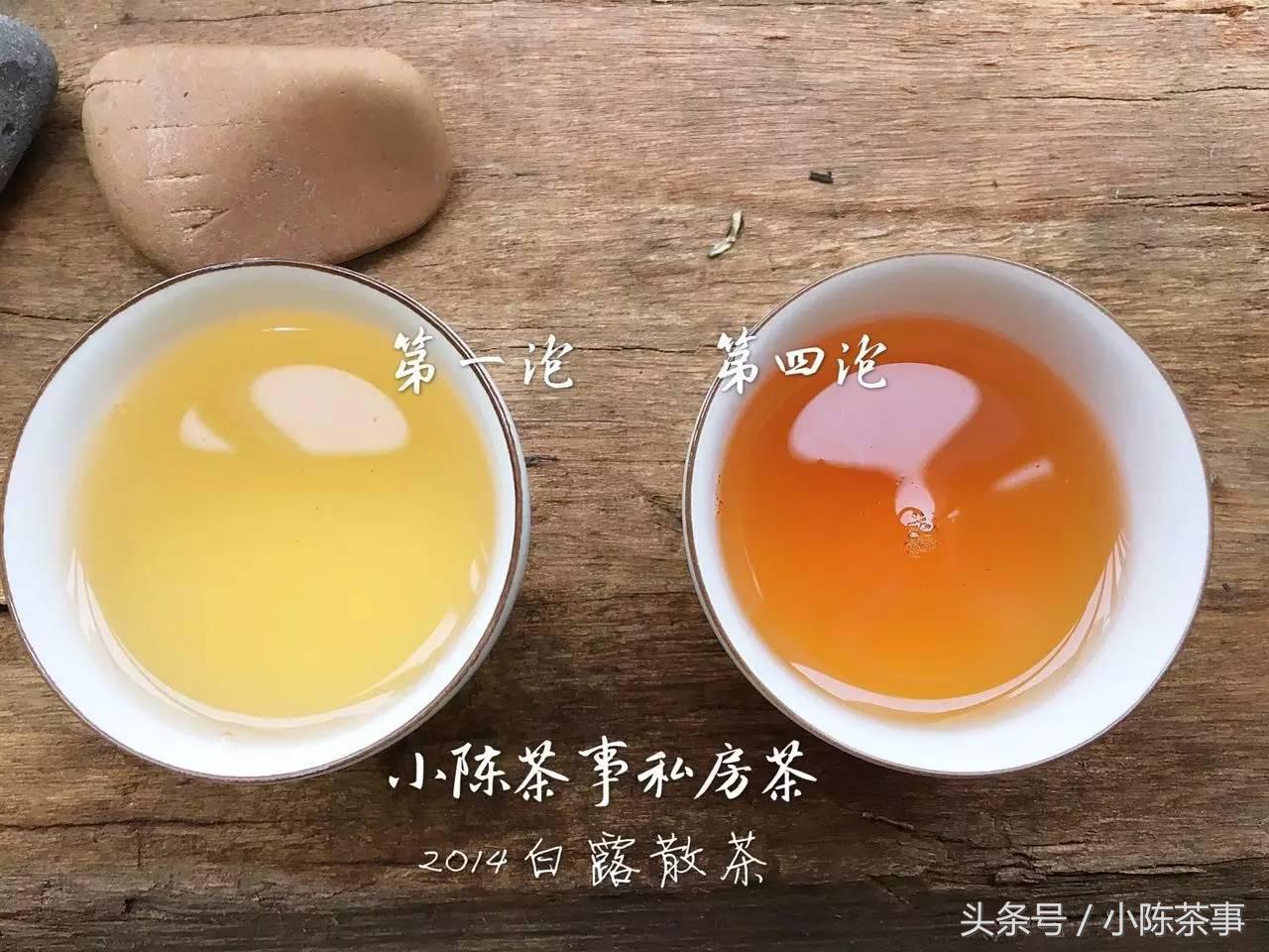 15年白露茶散茶,2019年的白露茶
