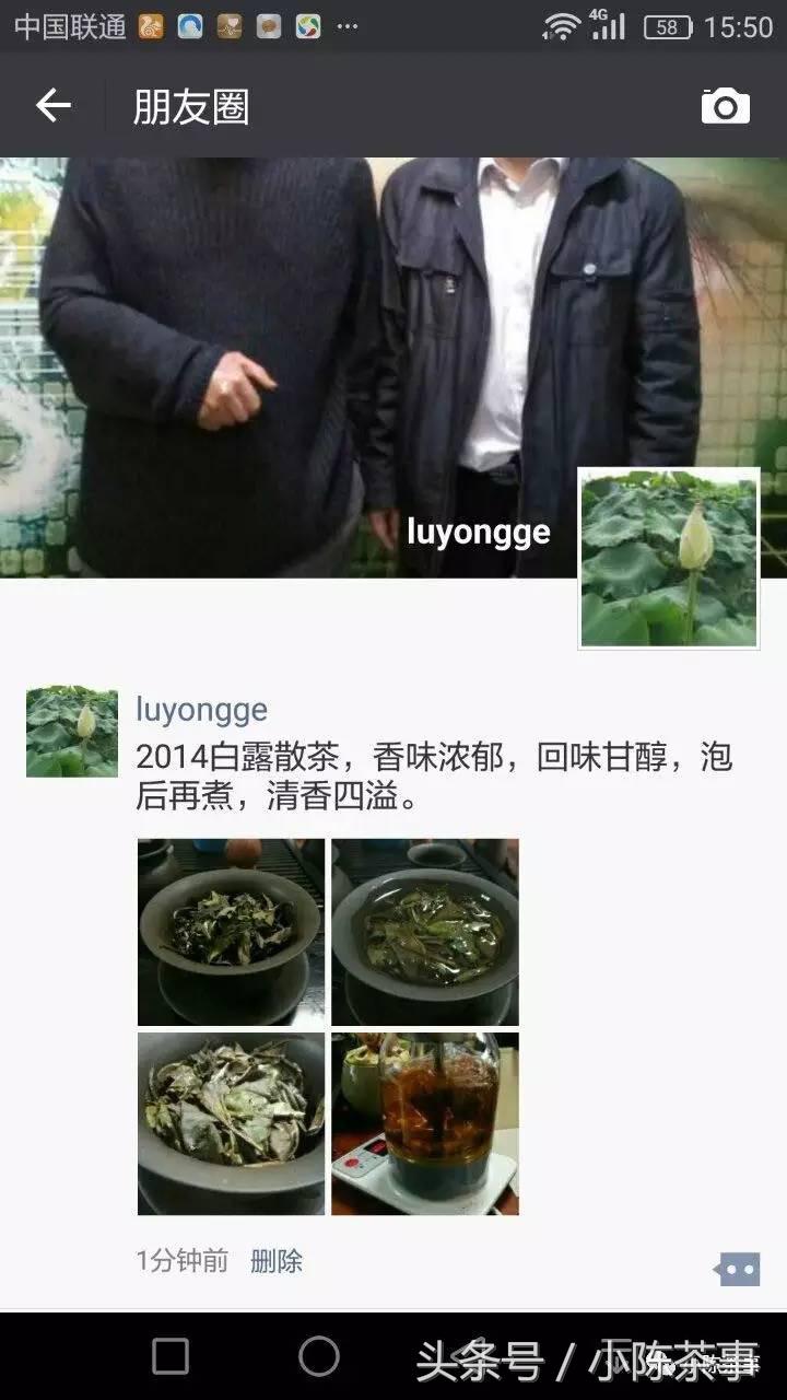 15年白露茶散茶,2019年的白露茶