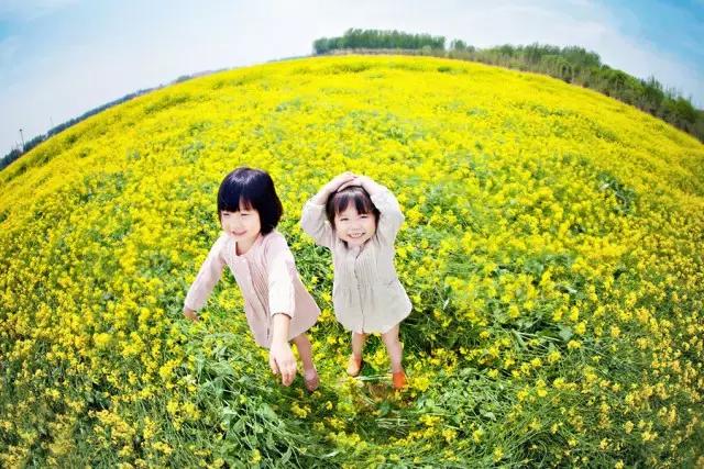 用VR看花海是种怎样的体验？这周就去免费看~