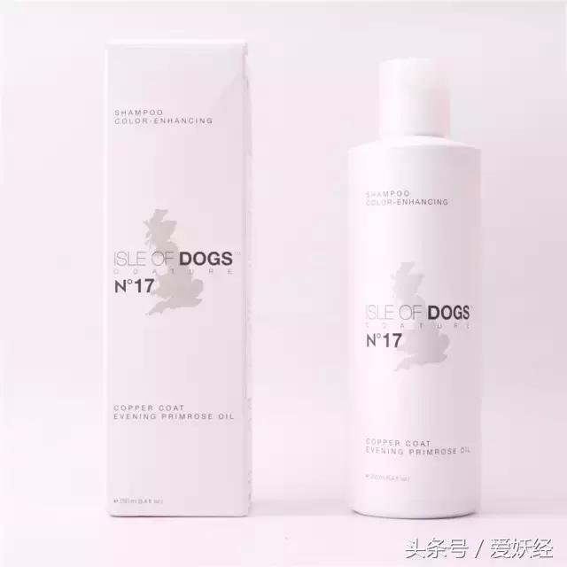 爱妖经｜“网红”还不够，更要实力派