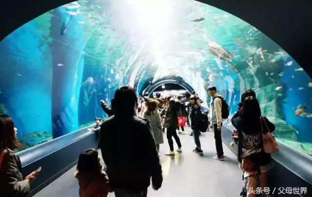 一个从来没用过童车的爸爸抱着孩子去日本水族馆吓人了！