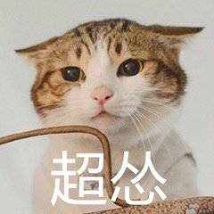 大龄单身女征婚完整版,大龄女性择偶纪录片