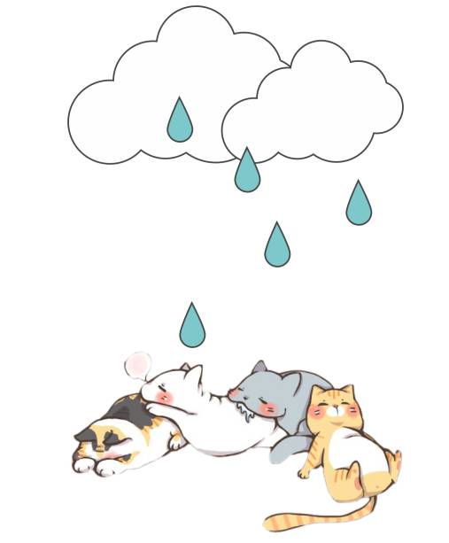 天气热宠物怎么样养好,天气热了宠物应当注意什么
