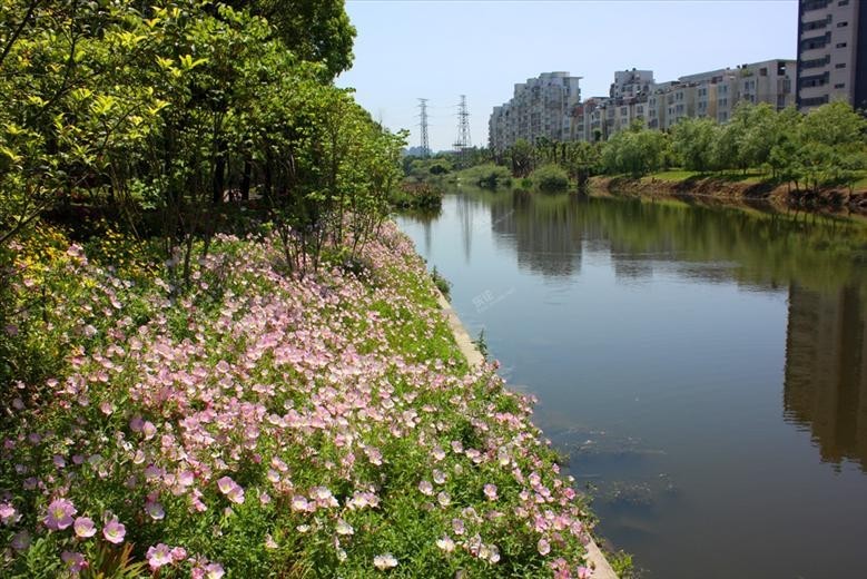 宁波人多的景区,宁波不得不去的几个风景区