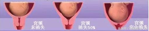 怀孕后身上的反应消失,怀孕后身体这些症状消失了