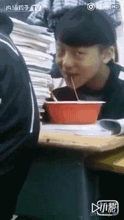 泰迪效仿主人的5种表现,泰迪真的能听懂人类的脚步声吗