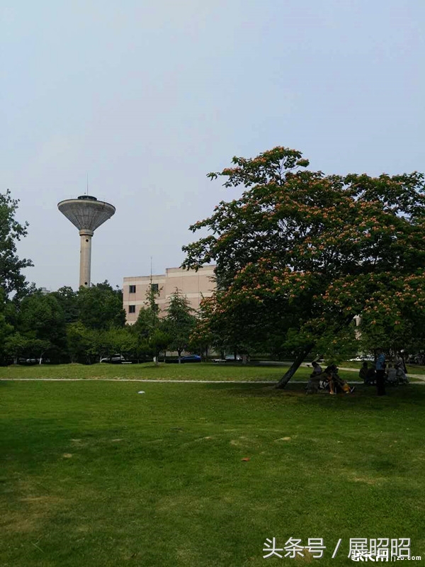 合肥中科大附属中学在哪,合肥中科大附属中学是公立学校吗