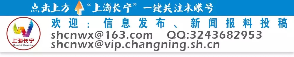 我的周家桥：故里高家巷③