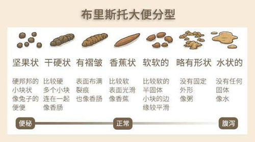 便便粘马桶,便便把马桶堵了如何自己快速疏通
