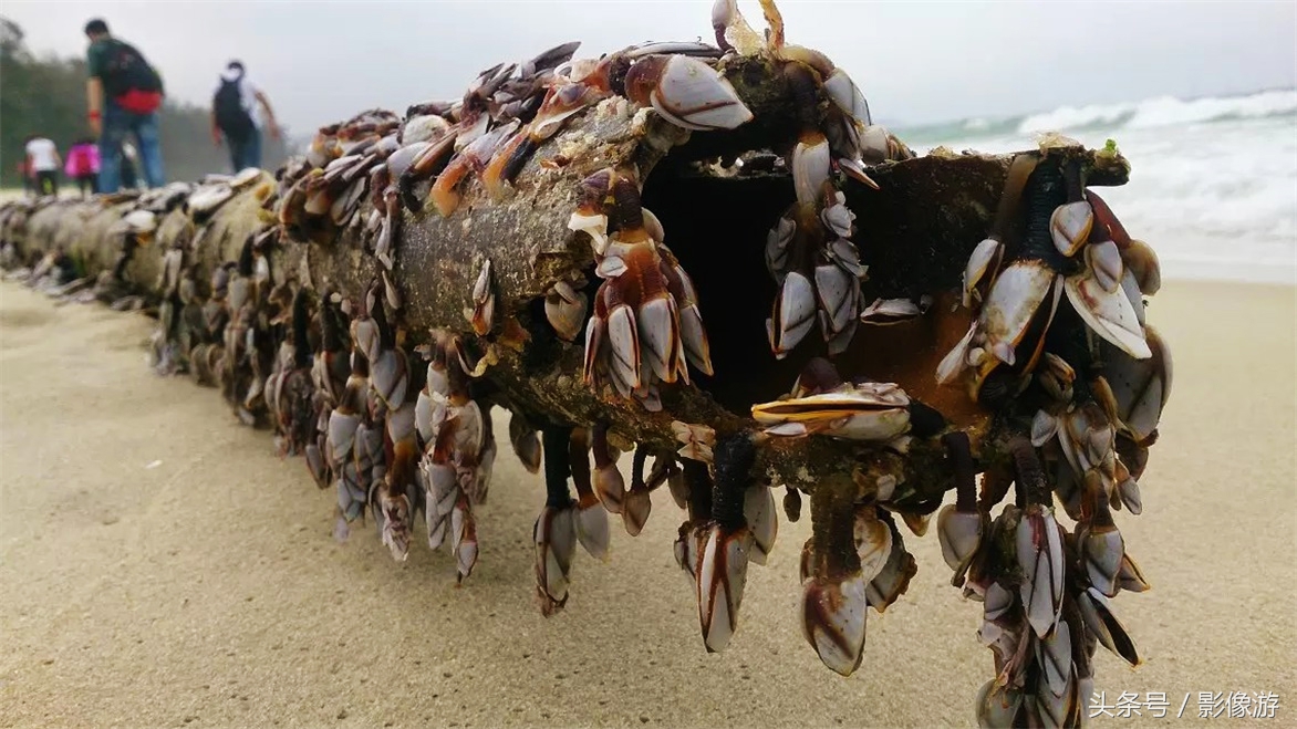 广深游最佳路线,惠州徒步穿越路线