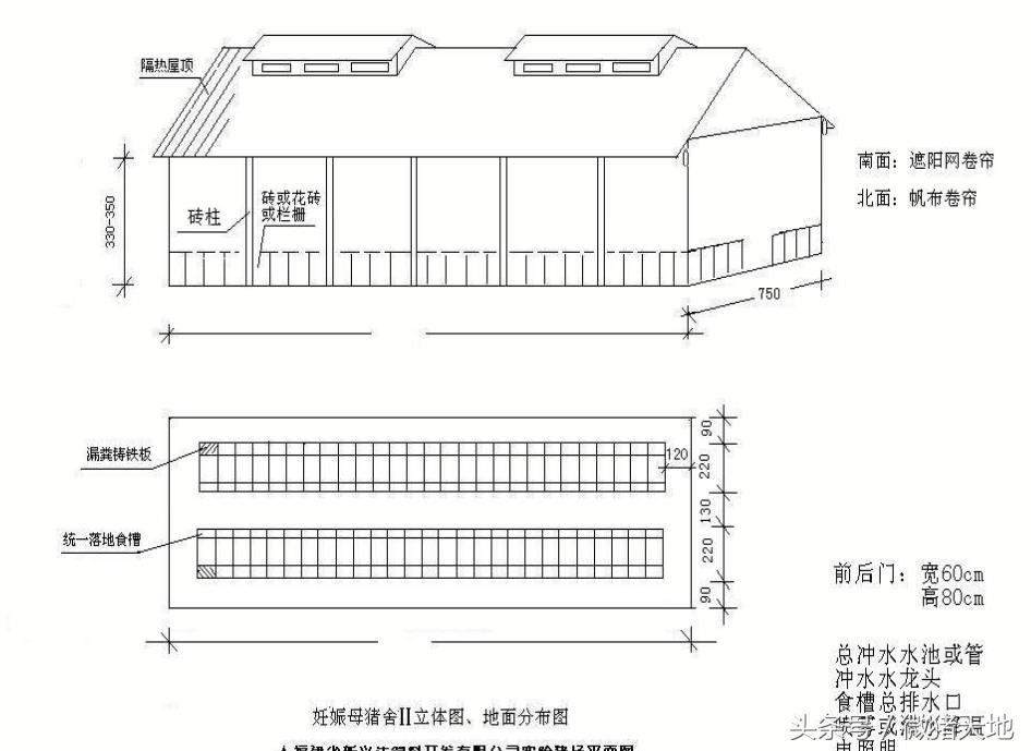 农村100头育肥猪小型猪场设计图,农村小型养猪场设计规划图