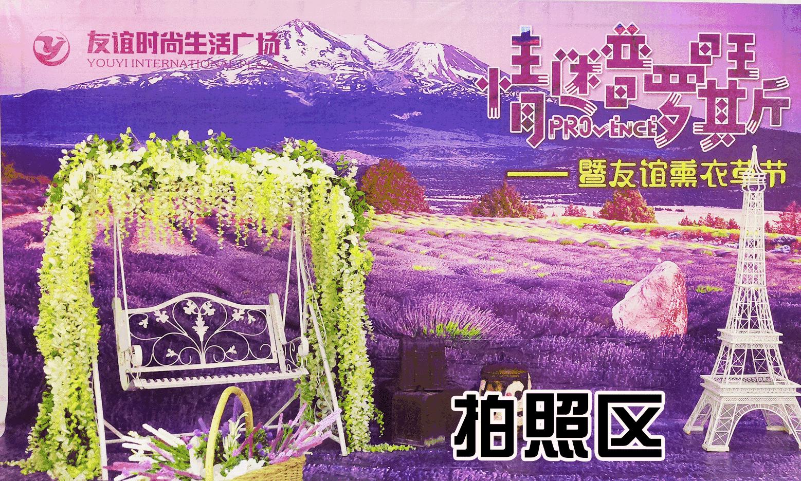 新疆伊犁薰衣草花海太美啦,石河子薰衣草专卖店在哪里