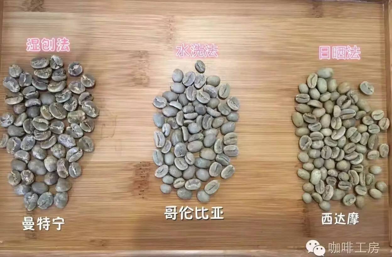 单品咖啡和意式咖啡,咖啡品种科普