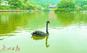 探秘广州脊丨门开万里拢翠，亚婆山歌沉醉