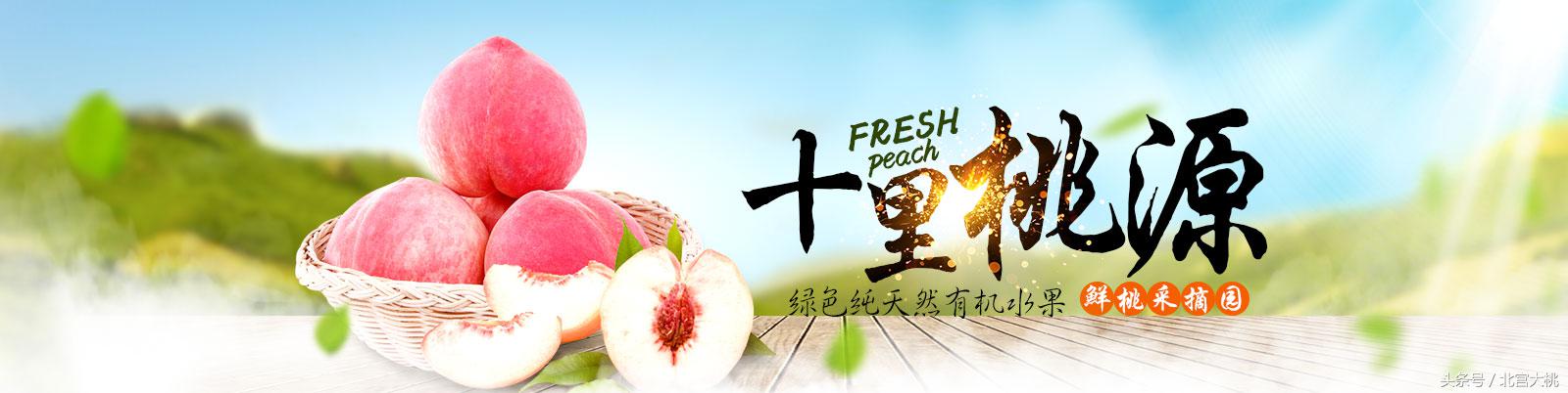 平谷大桃最好采摘园,平谷好吃的桃在哪采摘