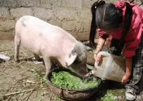 我来自廉江农村，你愿意跟我结婚吗？