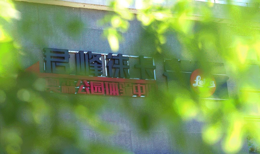 为何人文摄影大师都用35毫米镜头,为什么说35mm是人文镜头