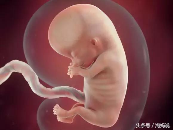 胎儿发育40周全过程注意事项,赞宝宝训练抬头的句子