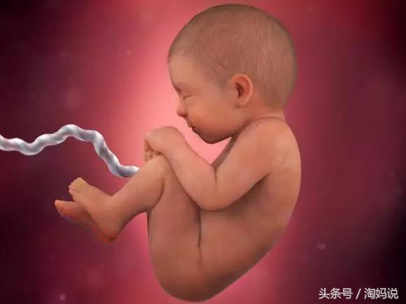 胎儿发育40周全过程注意事项,赞宝宝训练抬头的句子