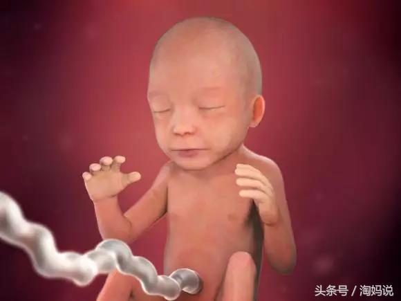 胎儿发育40周全过程注意事项,赞宝宝训练抬头的句子