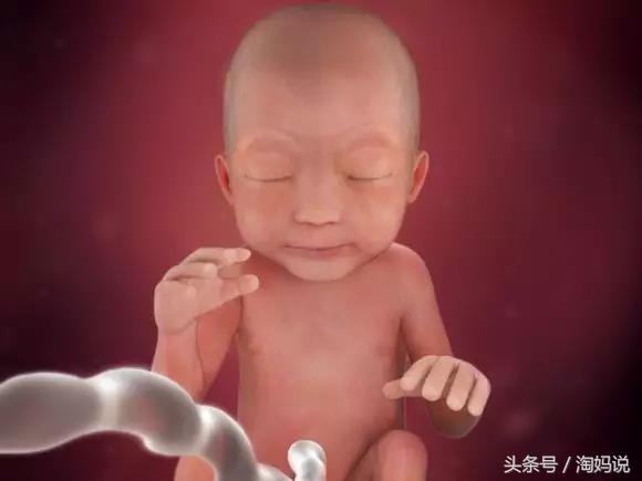 胎儿发育40周全过程注意事项,赞宝宝训练抬头的句子