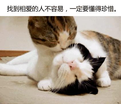 别跟我谈什么梦想我只想躺赢,别跟我谈什么梦想