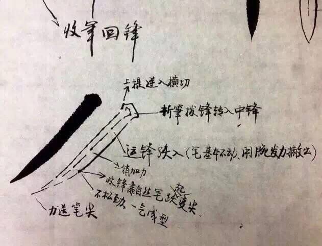 书友参考：书法入门的一些基础练习方法，干货！