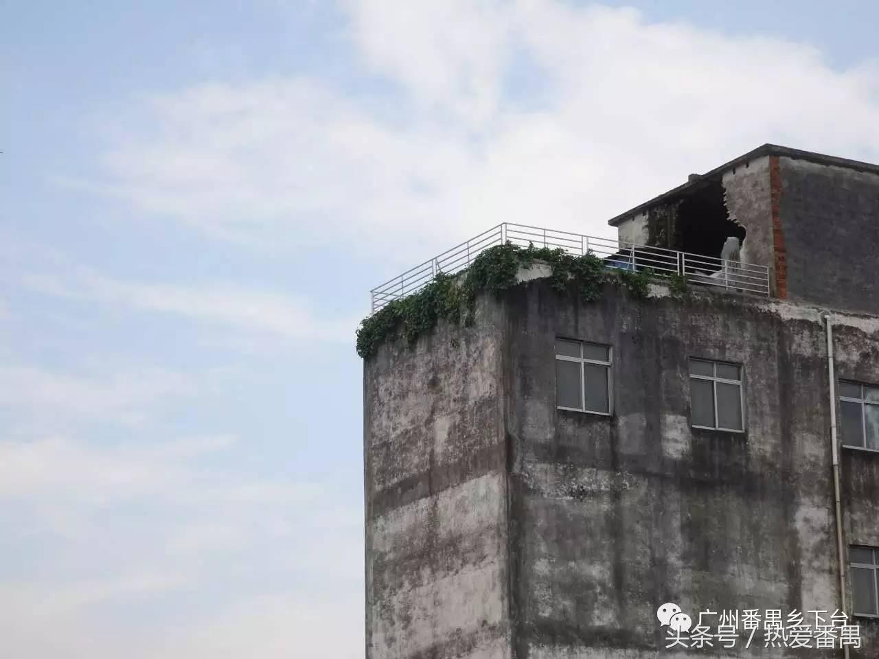 洛溪大桥为啥有个名字,洛溪大桥为什么叫洛溪大桥