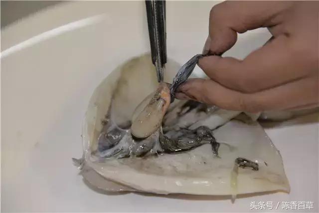 墨汁能做什么,墨汁能做什么小吃