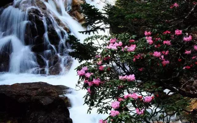 康定旅游景点木格措,康定木格措门票冬天