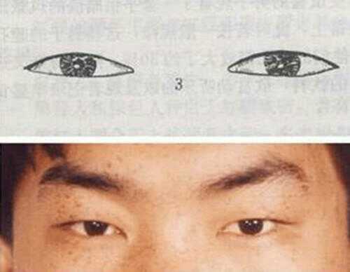 怎么知道你的眼型是哪种,99%的人不知道自己什么眼型