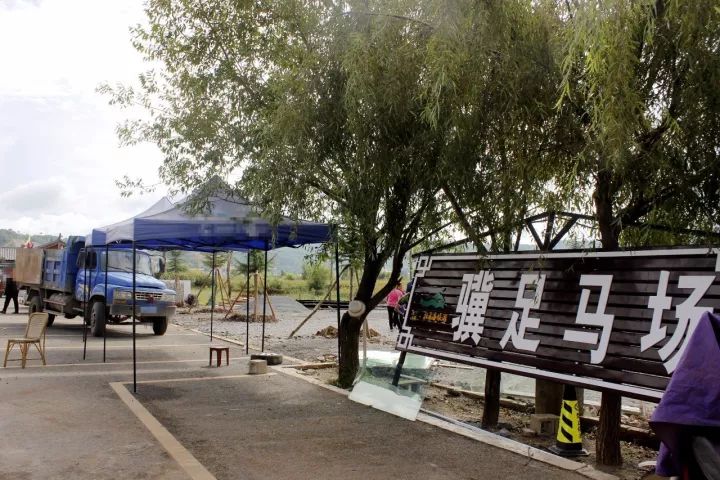 丽江拉市海马场现状,丽江拉市马场最新消息