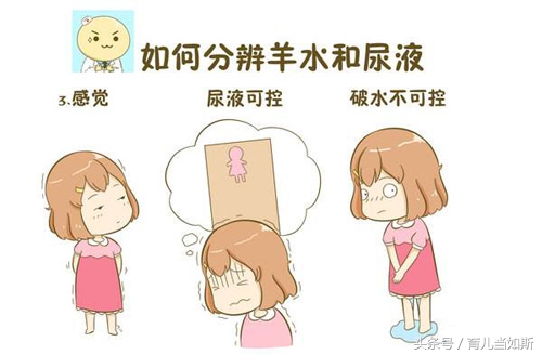 孕妇怎么区分是漏尿了还是破水了,孕妇生产前漏尿和破水怎么区分