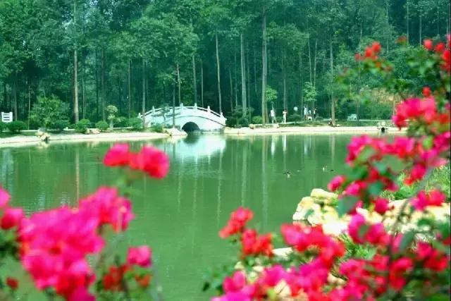 东莞和女生一日游最佳去处,带你们来东莞旅游