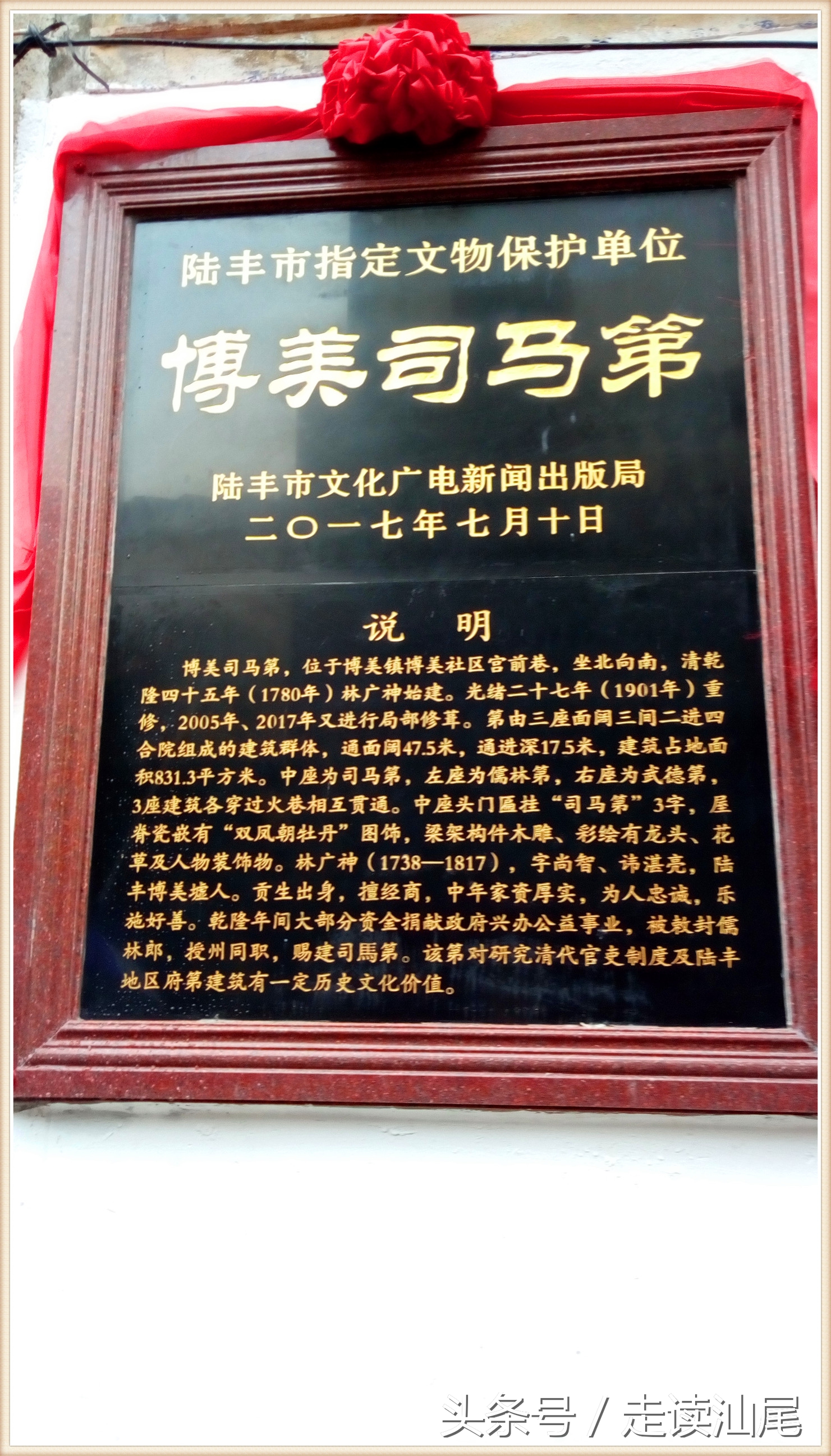 司马第陆丰,陆丰博美历史