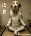 本能比肩《指环王》的一部神作，就这么被索尼影业拍砸了……