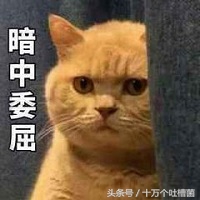 本能比肩《指环王》的一部神作，就这么被索尼影业拍砸了……